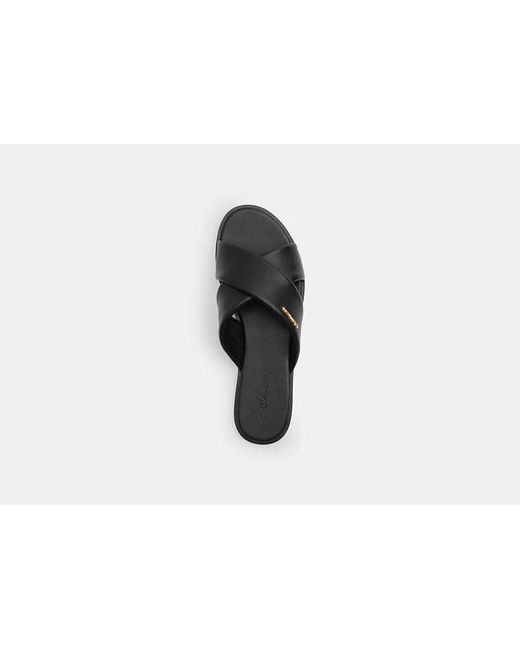 COACH Black Link Criss Cross Slide