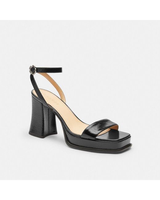 COACH Black Tea Rose Platform Sandal