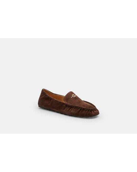 COACH Brown Phoebe Soft Loafer