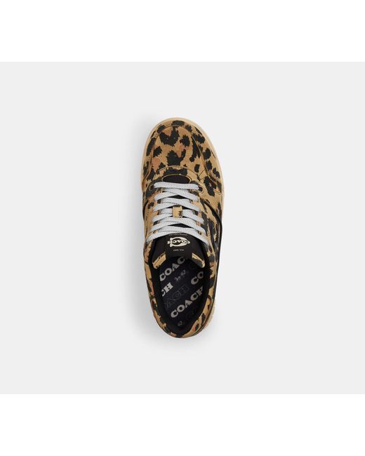 COACH Black Soho Sneaker With Leopard Print
