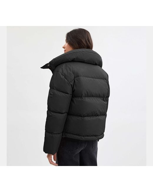 Chaqueta acolchada corta de poliéster reciclado COACH de color Black