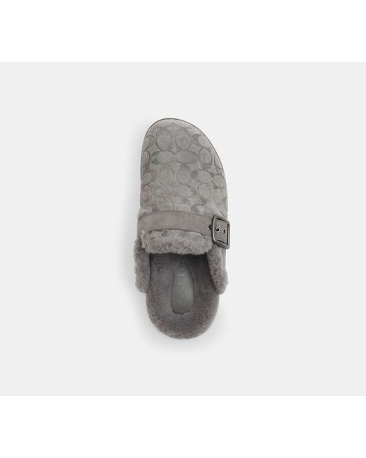 COACH Black Buckle Clog for men