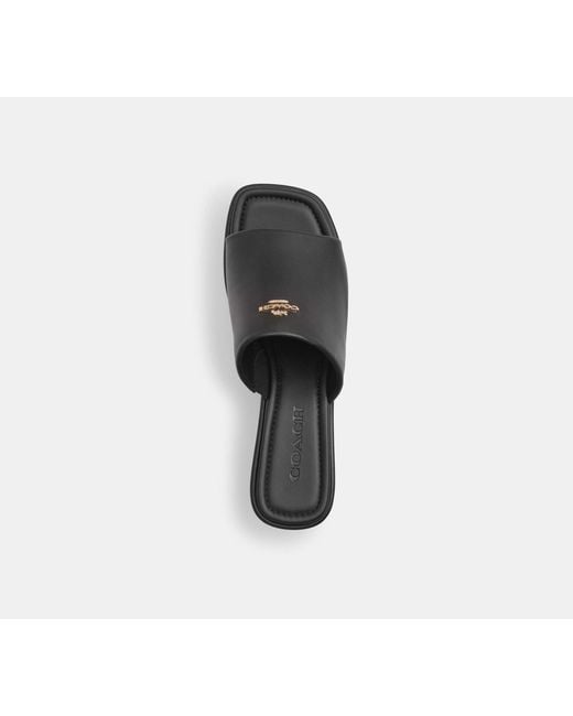 COACH Black Phoebe Platform Sandal