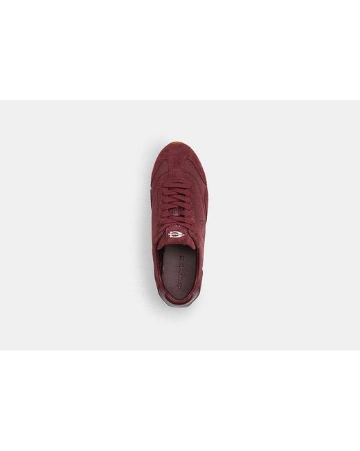 COACH Red Flache Sneaker Für Frauen