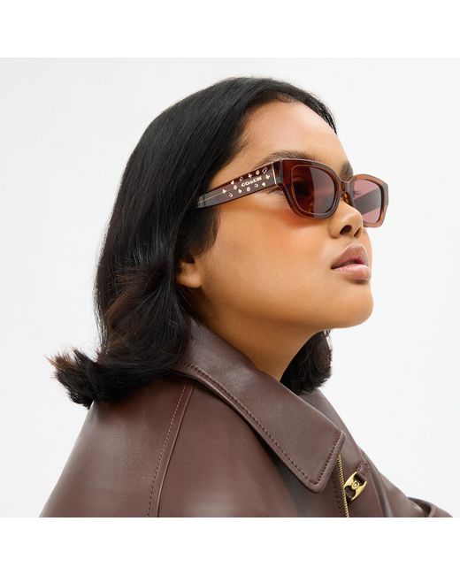 COACH Brown Charms Narrow Rectangle Sunglasses