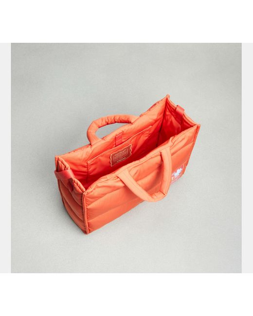 Coach foldable tote bag sales
