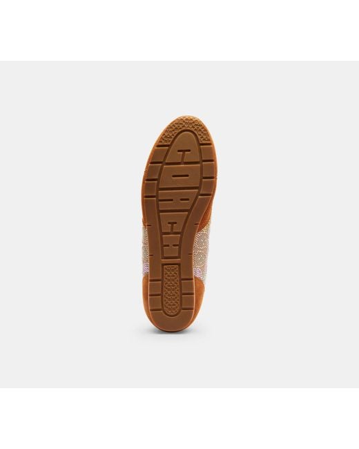 COACH Brown Flacher Sneaker