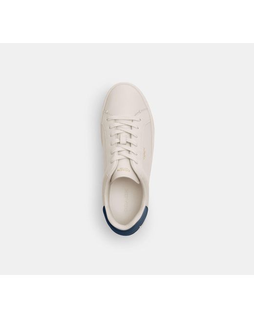 COACH Black High Line Sneaker