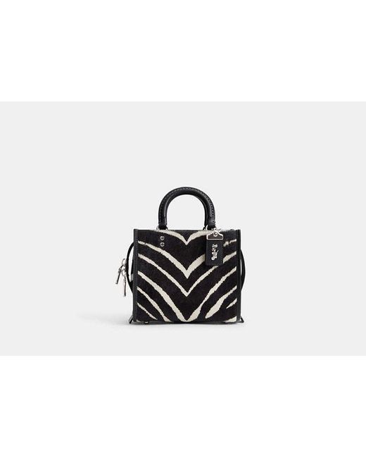 COACH Black Rogue 20 In Haircalf With Zebra Print