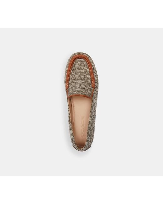 COACH Black Ronnie Loafer - Brown, Size 10 | Signature Jacquard