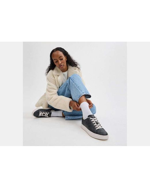 COACH Black High Line Sneakers