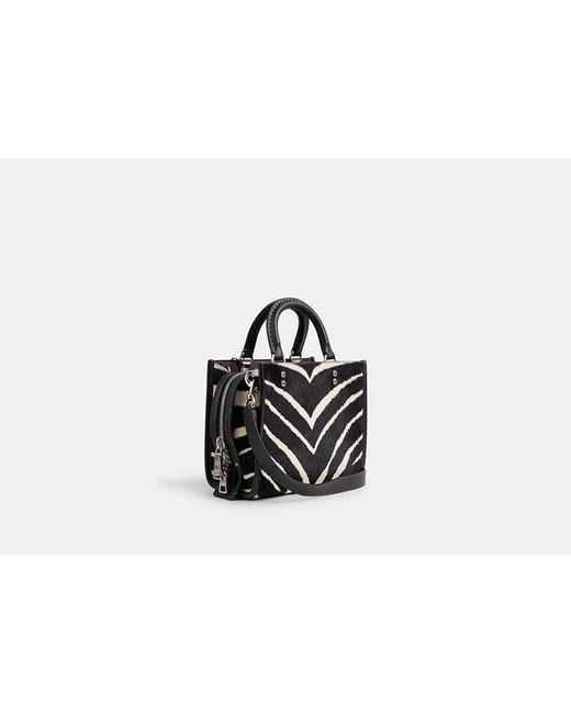 COACH Rogue 20 In Haircalf With Zebra Print in Black | Lyst