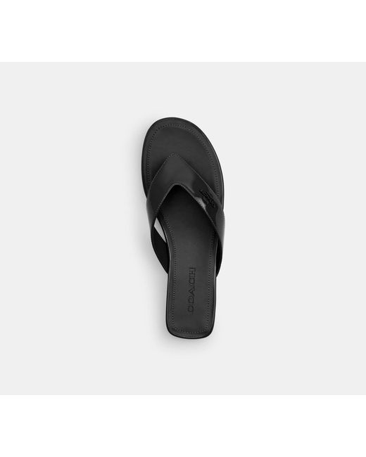 COACH Black Bridgette Sandal