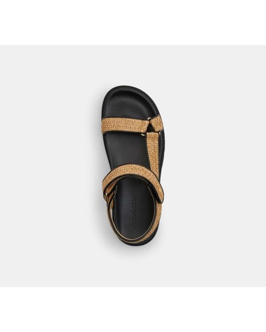 COACH Black Sport Sandal