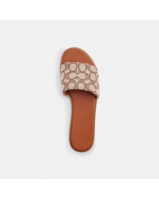 COACH Brown Holly Sandal In Signature Textile Jacquard