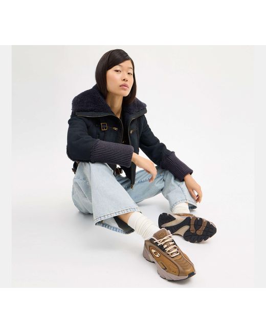 COACH Black Bolt Runner Sneaker
