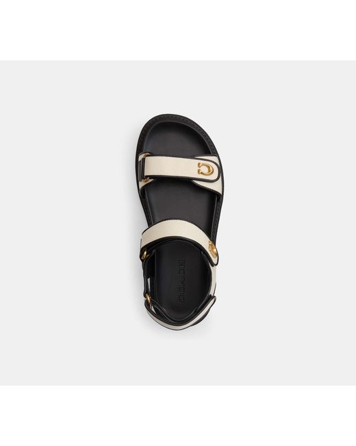 COACH Black Brynn Sandal