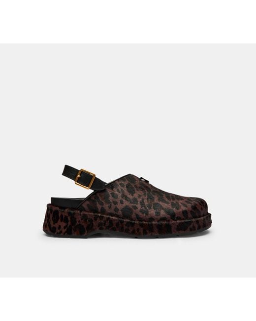 COACH Black C Platform Clog With Leopard Print