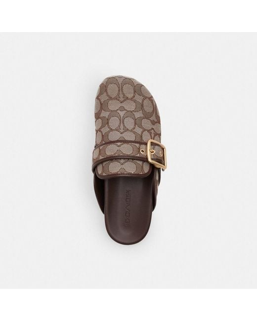 COACH Brown Archival Buckle Clog In Signature Jacquard