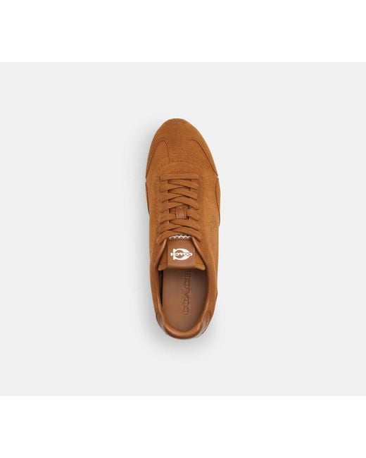 COACH Brown Flache Sneaker
