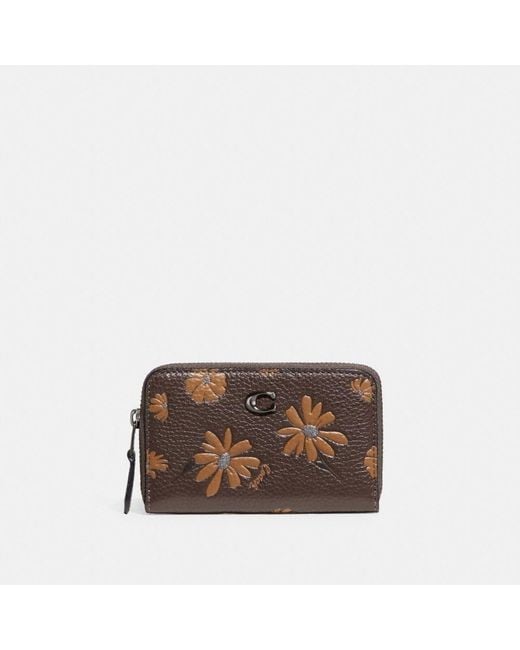 COACH Brown Small Zip Around Card Case With Floral Print