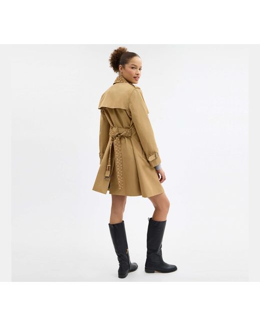 COACH Natural Mid Trench Coat With Collar