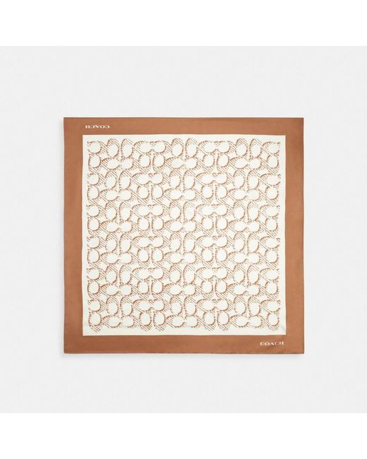 COACH White Signature Silk Square Scarf