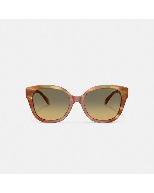 COACH Brown Square Sunglasses