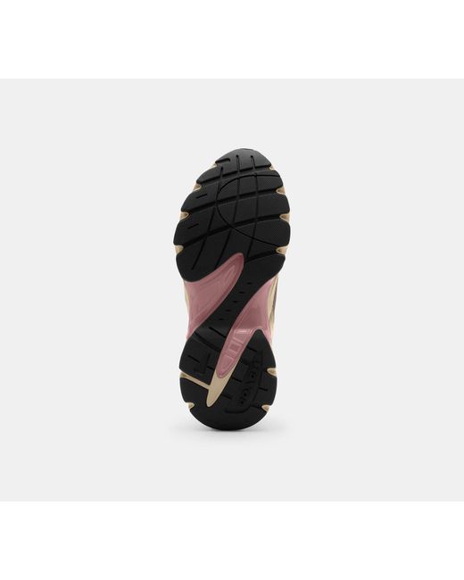 COACH Black Bolt Runner Sneaker