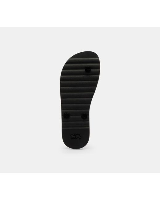 COACH Black Zayn Flip Flop