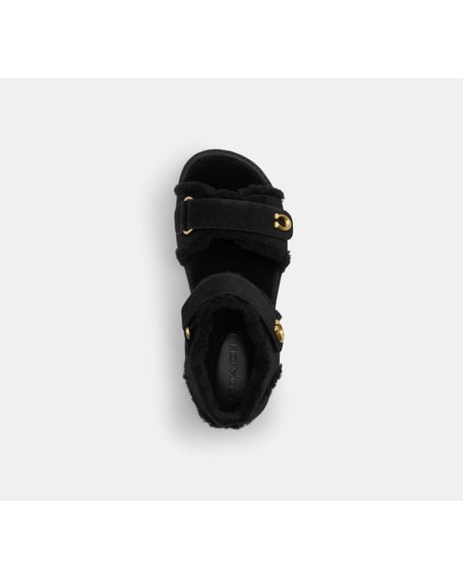 COACH Black Brynn Sandal