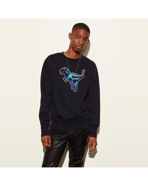 Coach sweatshirt hotsell
