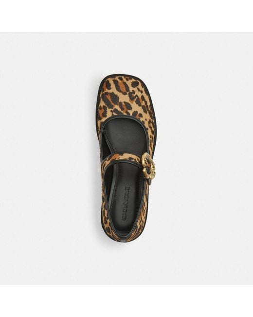 COACH Black Tea Rose Mary Jane Print Flat