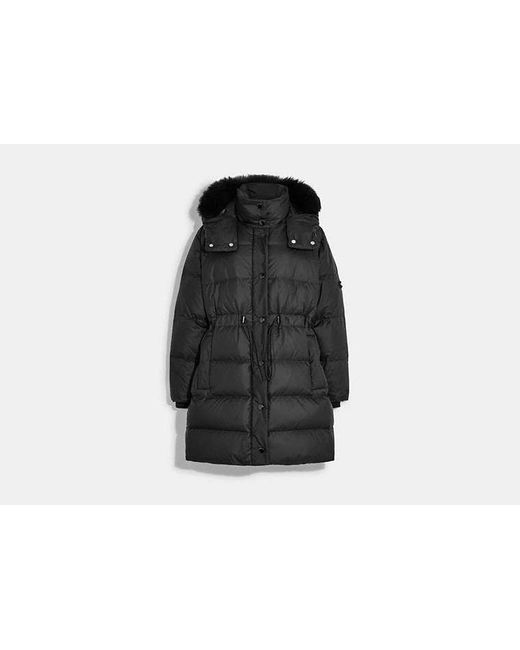 COACH Black Mid Down Puffer Jacket With Shearling
