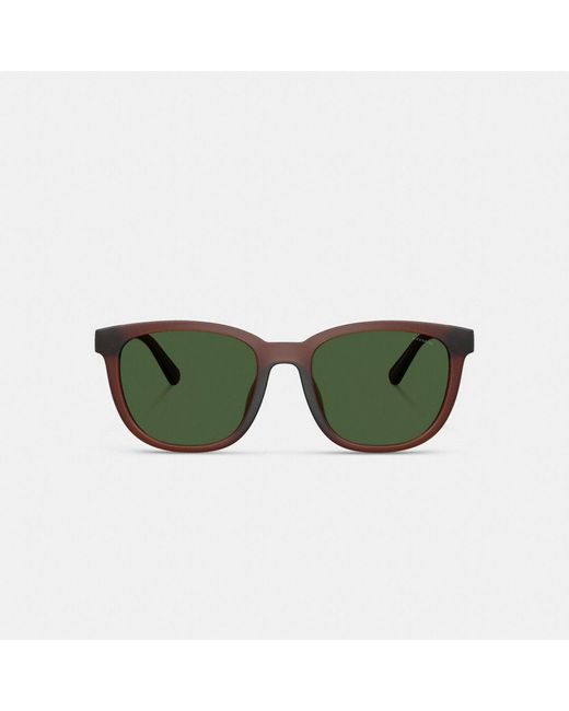 COACH Green Textured Square Sunglasses for men