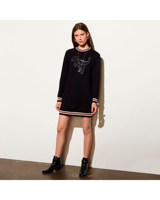 COACH Cotton Varsity Rexy Sweatshirt 