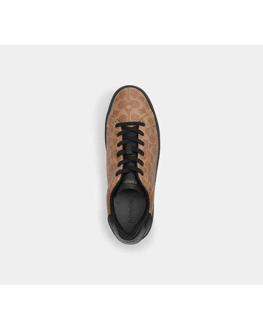 COACH Black High Line Sneaker for men