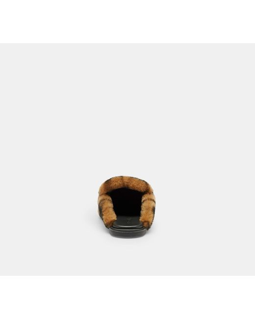 COACH Black Slipper