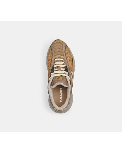 COACH Black Bolt Runner Sneaker