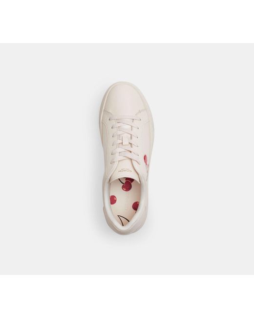 COACH Black High Line Sneaker With Cherry Print