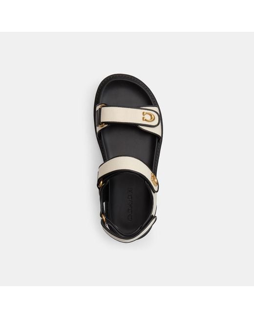COACH Black Brynn Sandal