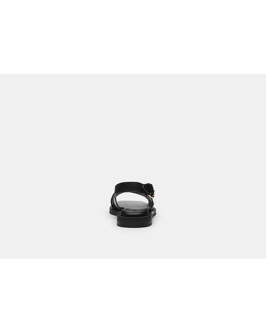 COACH Black Link Criss Cross Sandal