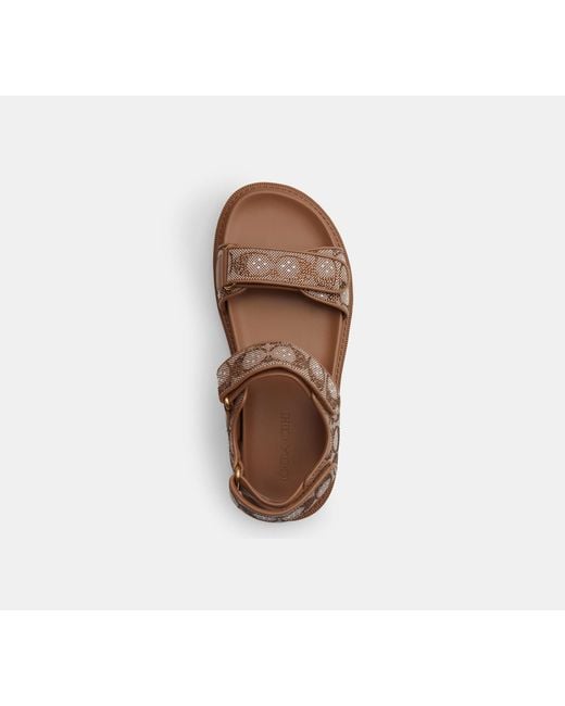 COACH Black Brynn Sandal