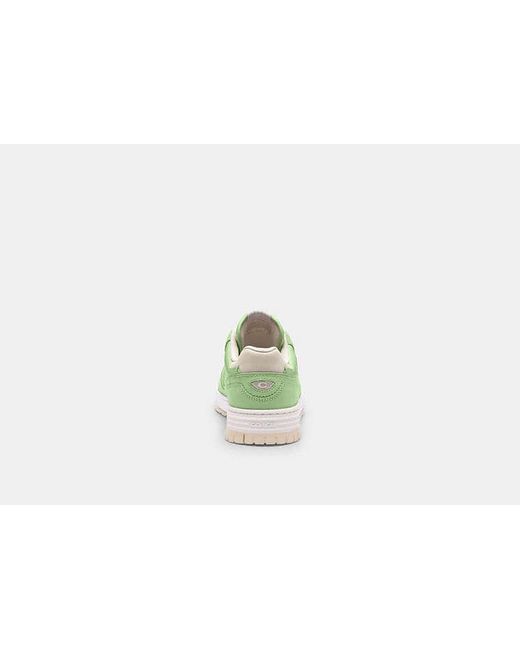 Baskets Soho En Pour Femmes, Taille COACH en coloris Green