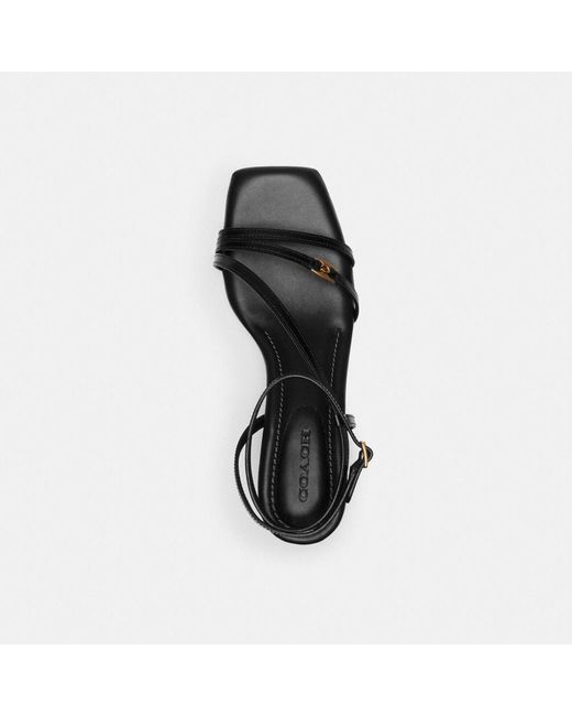 COACH Black Cait Sandal