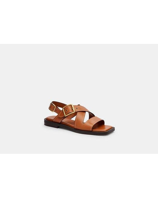 COACH Brown Archival Buckle Flat Sandal Platform