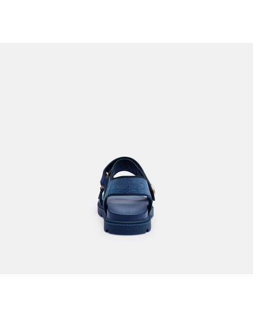 COACH Blue Flat Sandals