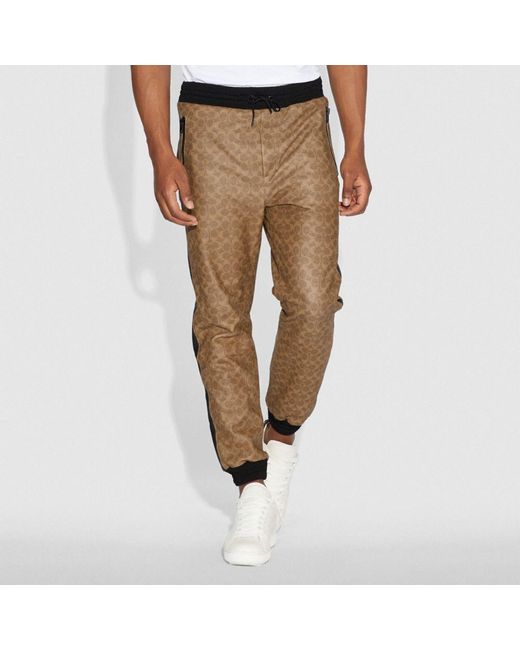 coach track pants