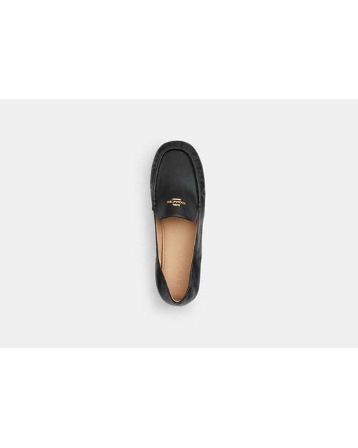 COACH Black Phoebe Soft Loafer