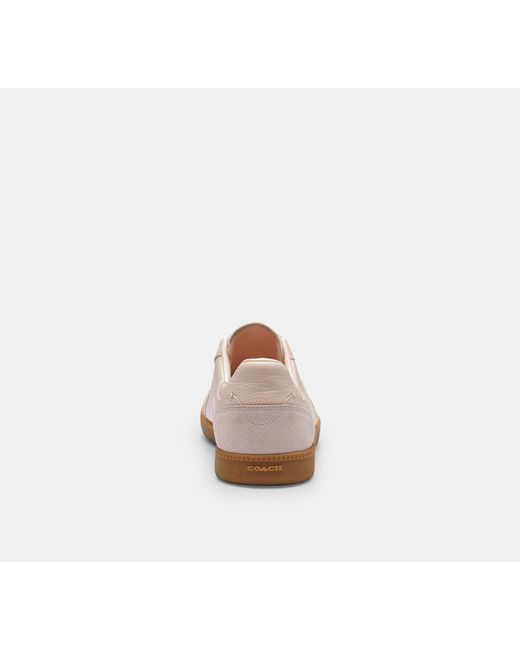 COACH Black Ellis Sneaker